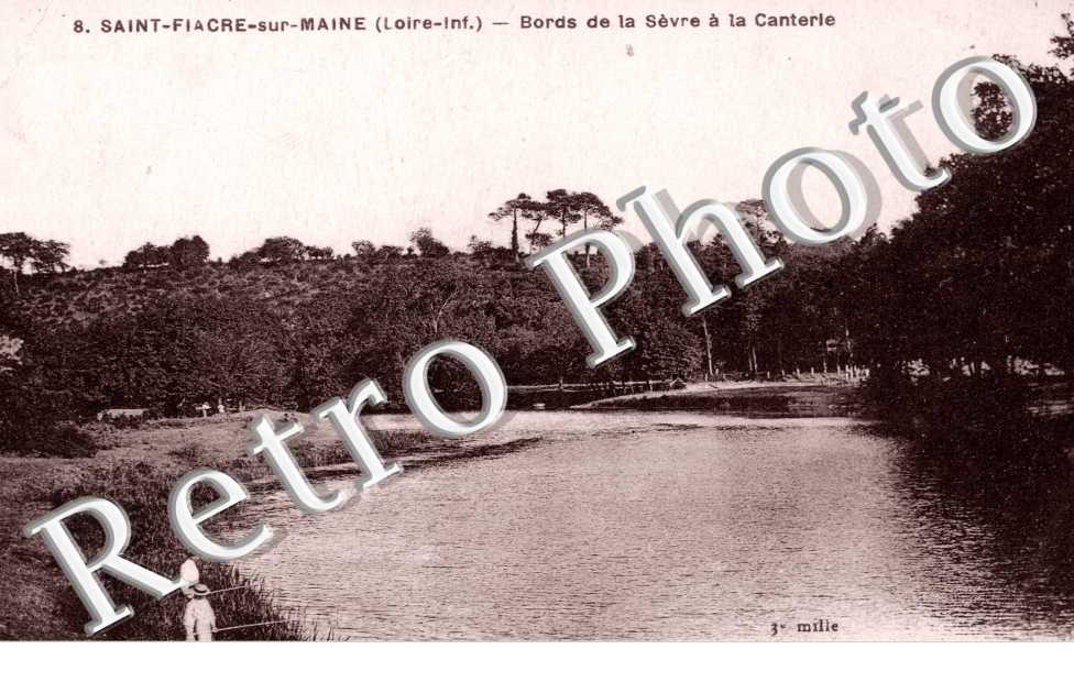 Bords de la Sevre a la Canterie