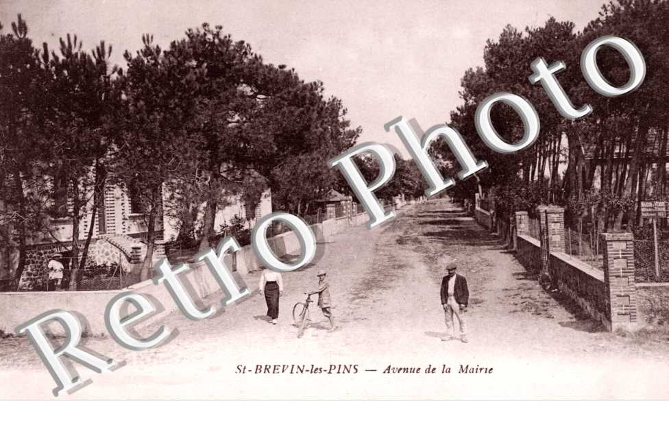 Avenue de la mairie