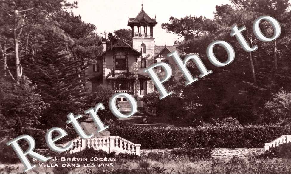 Villa dans les pins