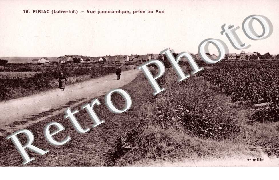 Vue panoramique