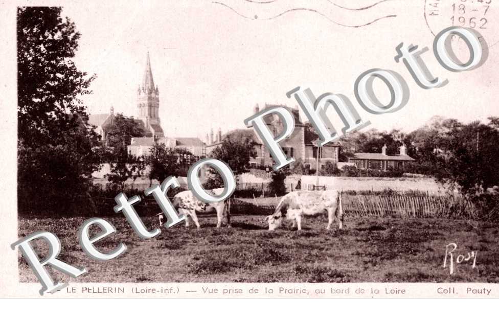 vue prise de la prairie, au bord de la Loire