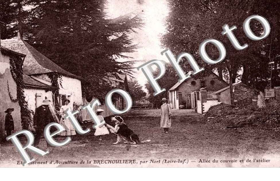 Etablissement d&#039;Aviculture de la Brechouliere