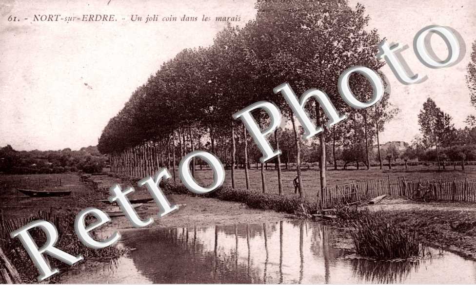 Coin dans les marais