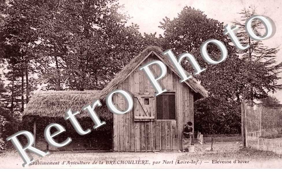 Etablissement d&#039;Aviculture de la Brechouliere