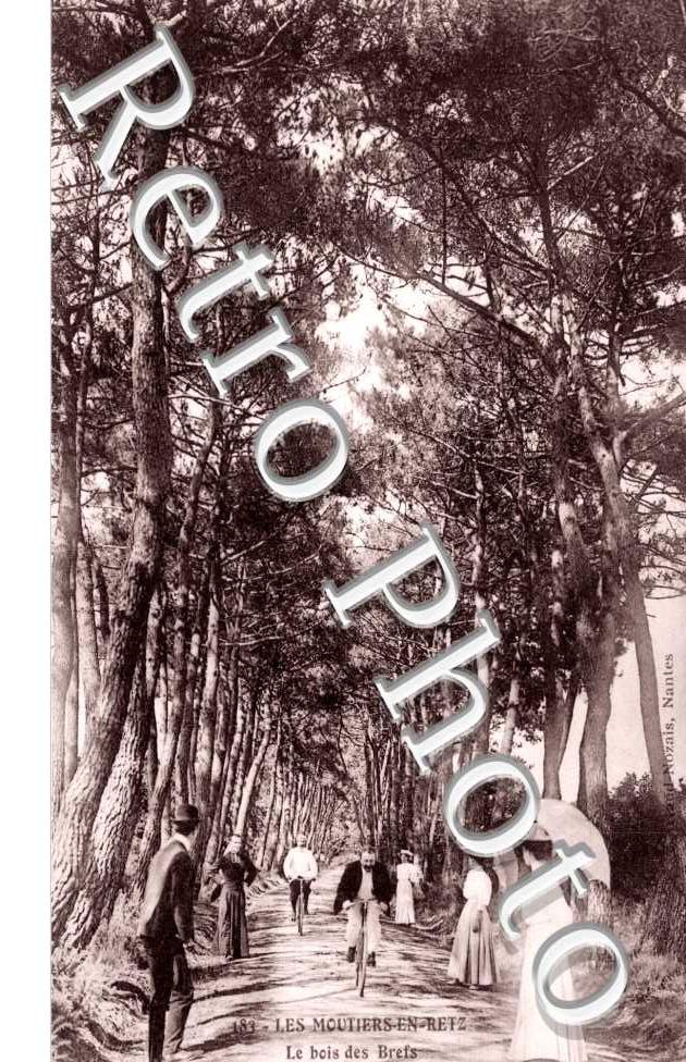 Le Bois des Brefs