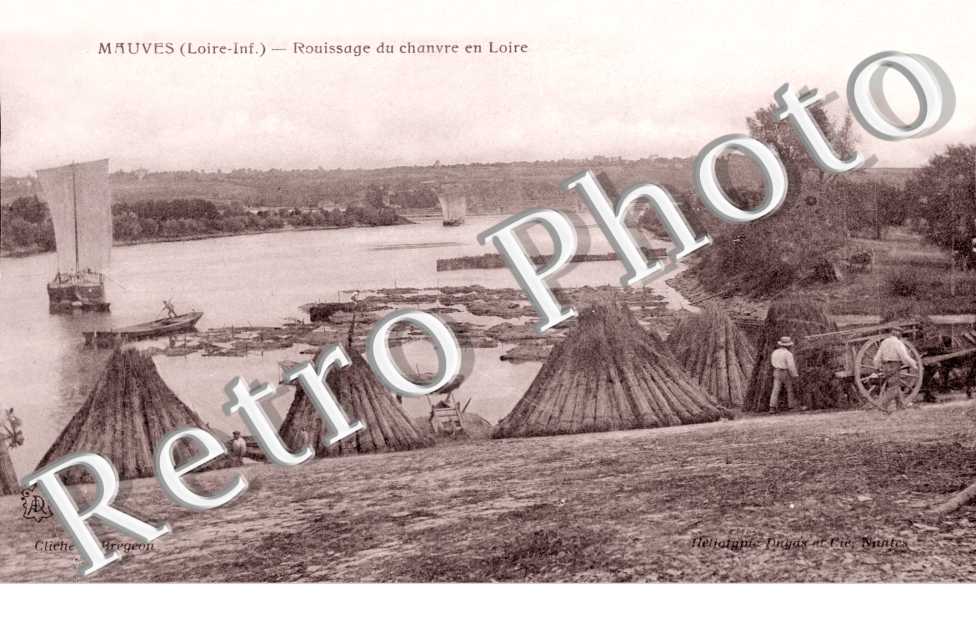 rouissage du chanvre en loire