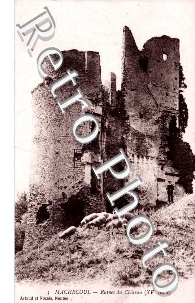 Les ruines du chateau