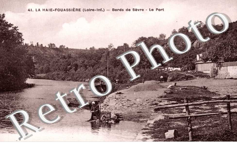 Bords de Sevre - La haire Fouassiere