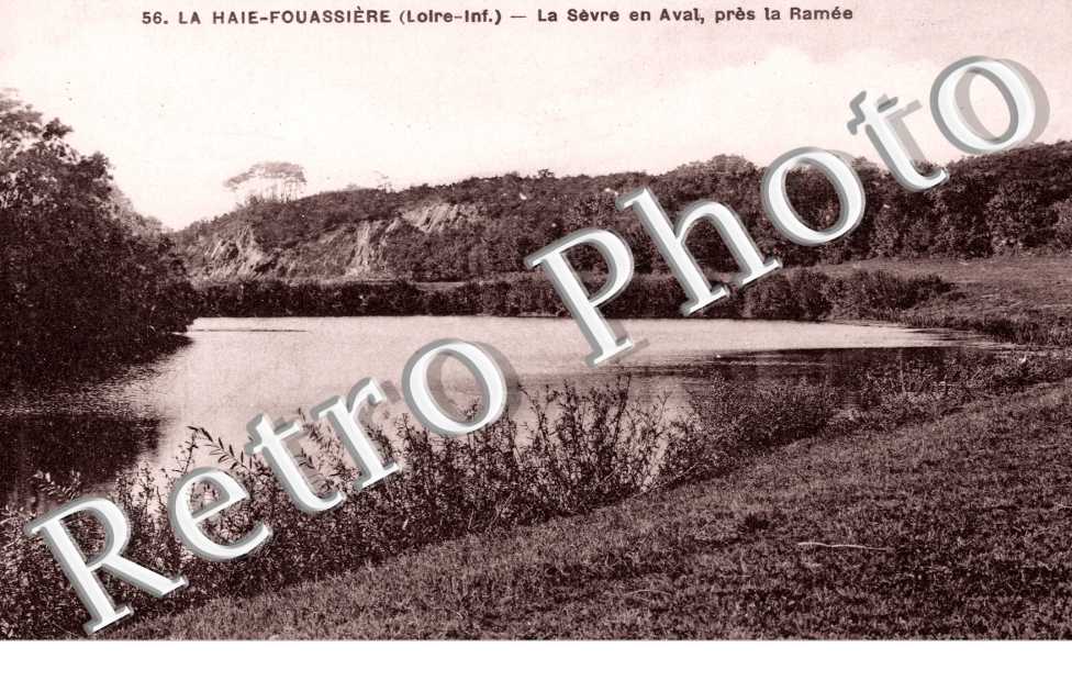 La Haie-Fouassiere -  la Sevre