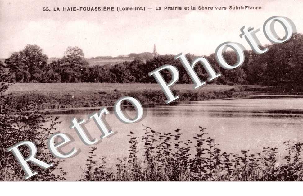 La Haie-Fouassiere - la prairie et la Sevre
