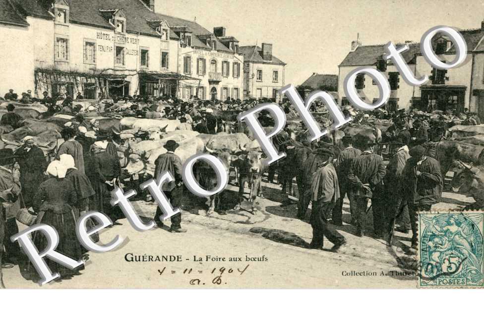 la foire aux boeufs
