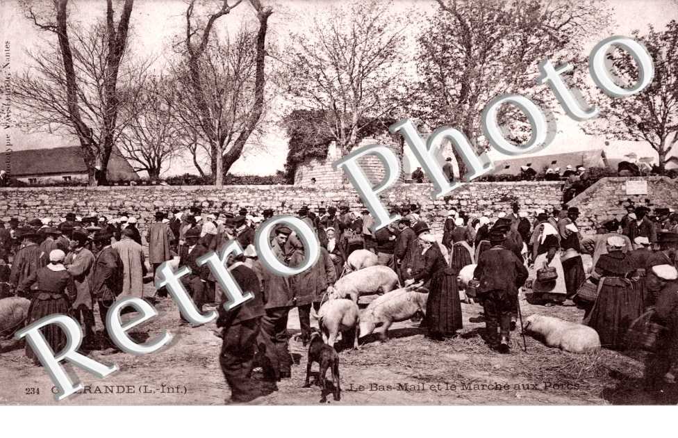 le bas mail et le marche aux porcs