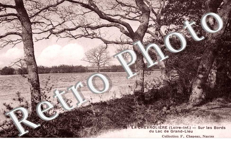 Sur les Bords du Lac de Grand Lieu
