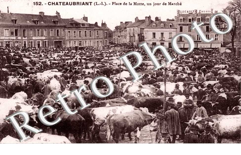place de la Motte - un jour de marche