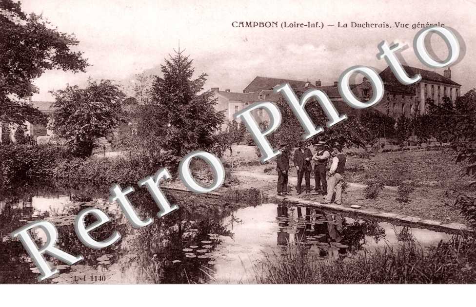 La Ducherais - vue generale