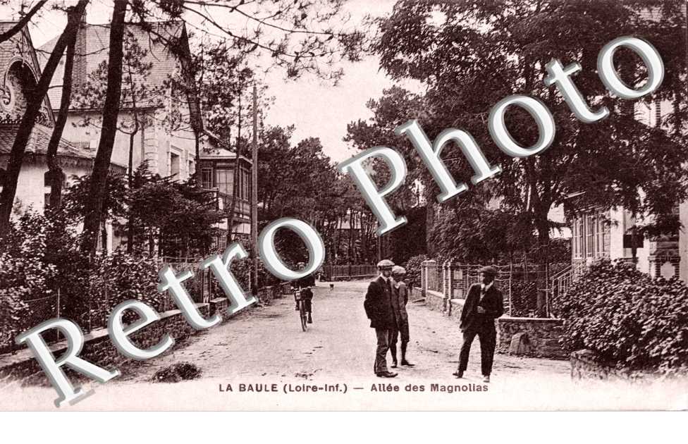 Allee des Magnolias