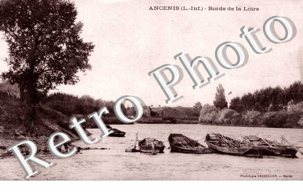 Bords de la Loire