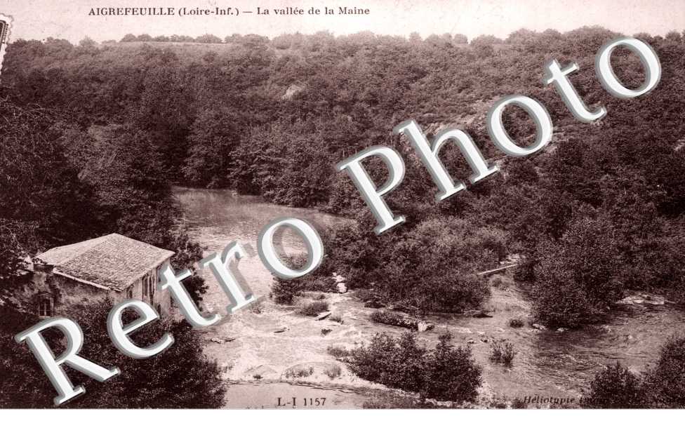 Vallee de la Maine