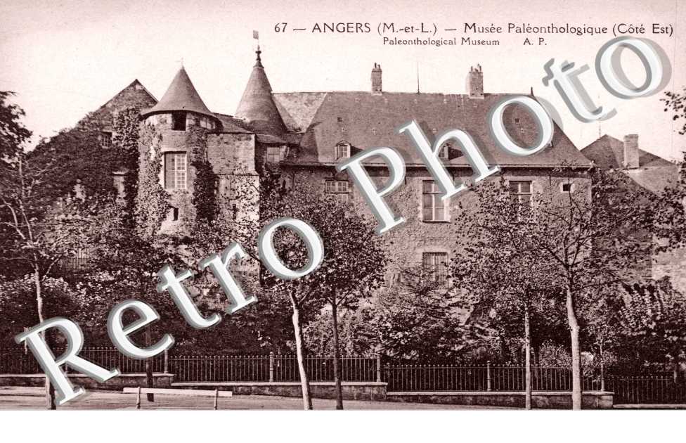 Musee paleontologique