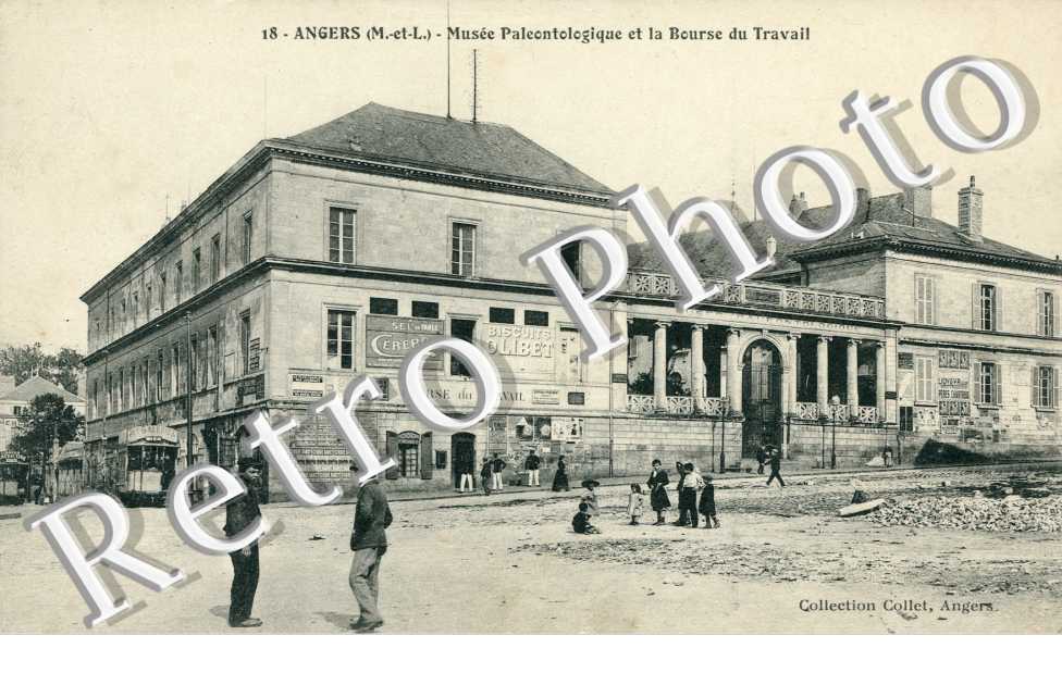 Musee paleontologique et la bourse du travail (rue Jules Guitton)