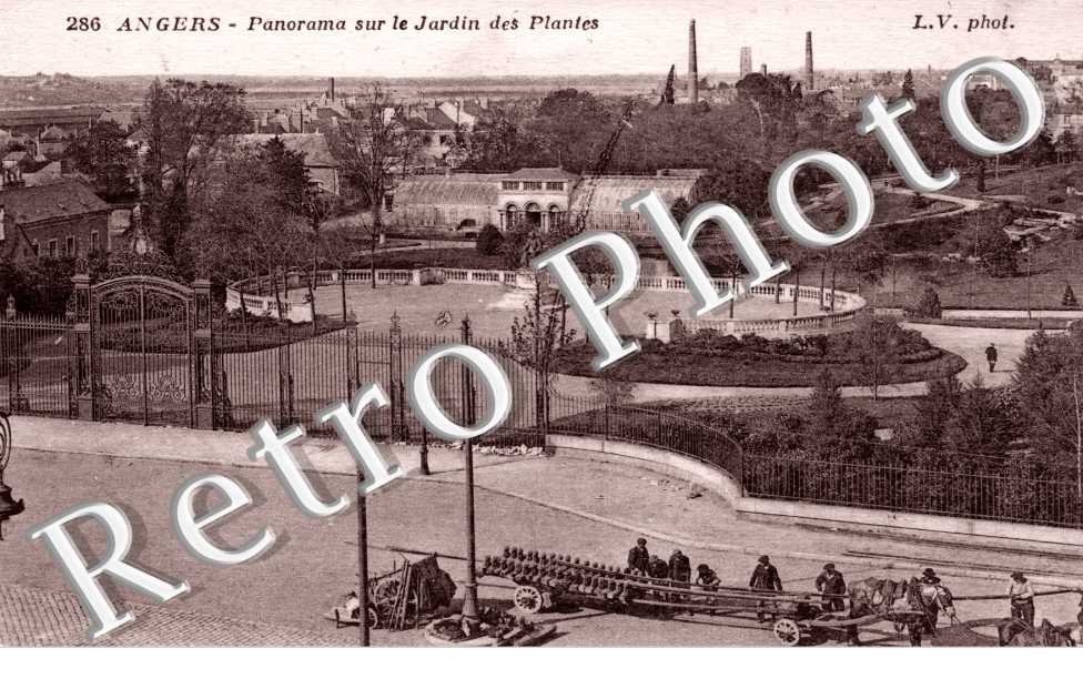 Panorama sur le jardin des Plantes