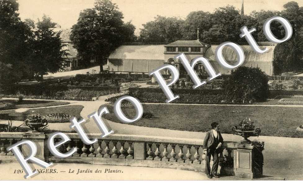 le jardin des Plantes 