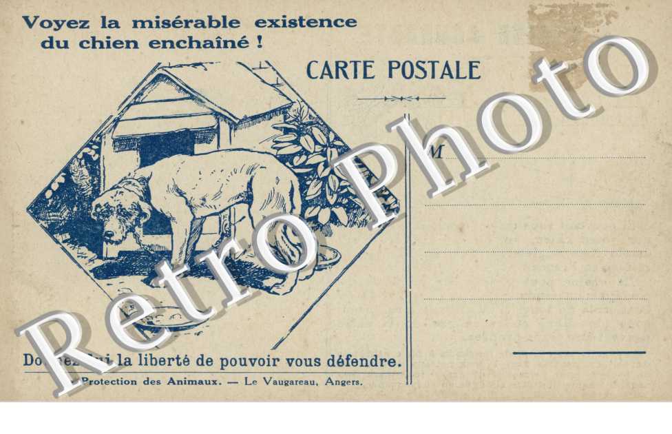 voyez la miserable existance du chien enchaine, la protection des animaux
