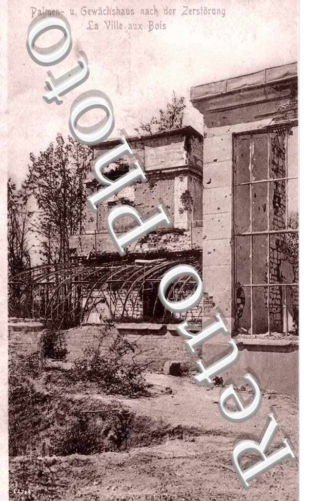 palmen u. Gewachshaus nach der Zerstorung
