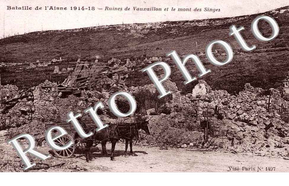 les Ruines et le mont des Singes