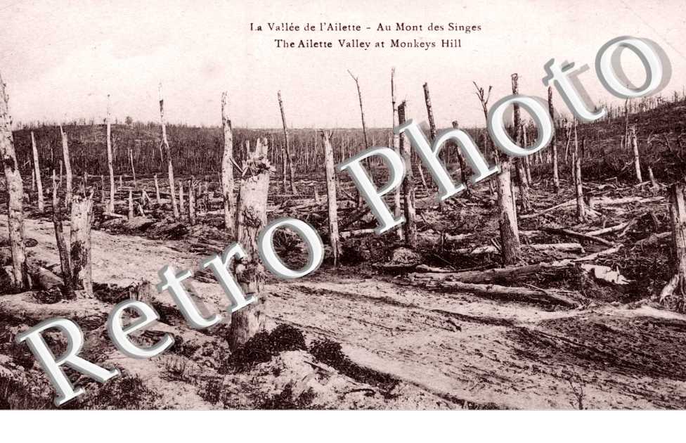 Au Mont des Singes - Ruines
