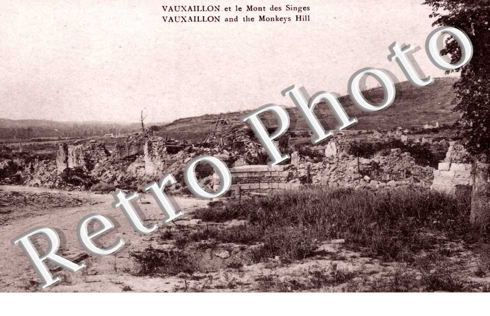 Le Mont des Singes et ruines du Village