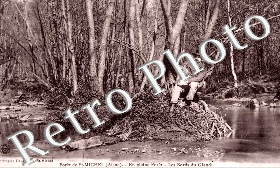 en pleine foret  Les bords du Gland