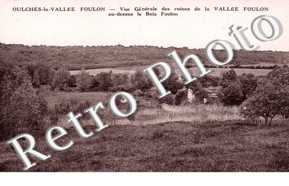 Vue generale des ruines - au dessus le bois Foulon