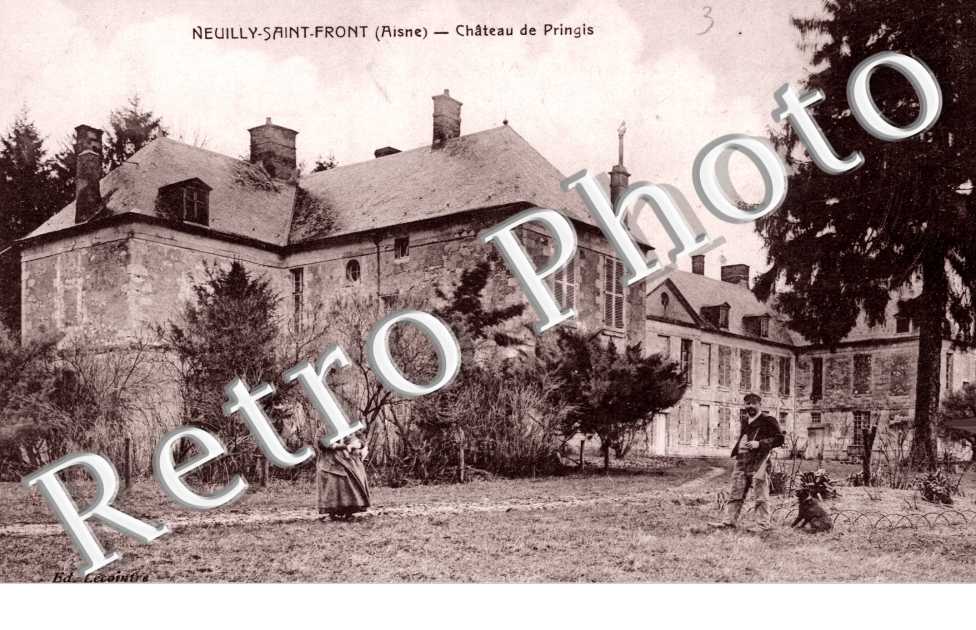 Chateau de Pringis
