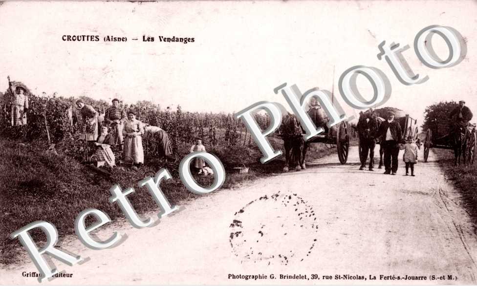 Les vendanges