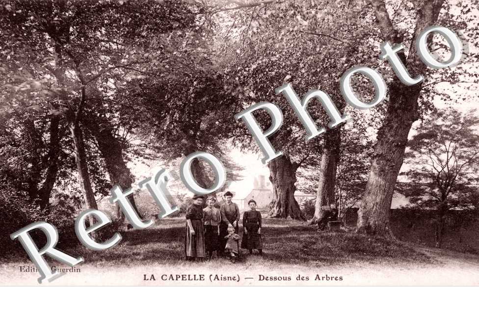 Dessous des arbres