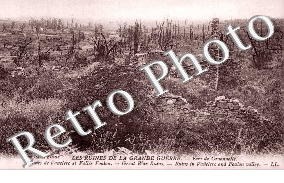 ruines de Vauclerc et vallée Foulon