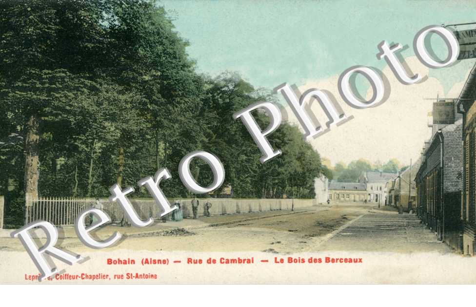 Le Bois des Berceaux