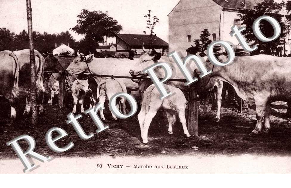 Marche aux bestiaux