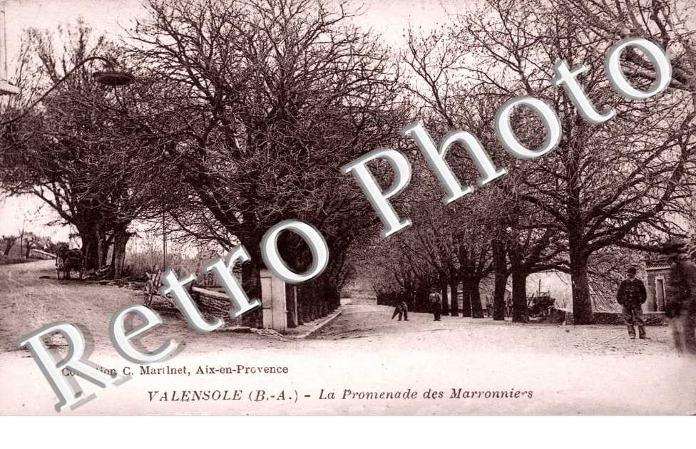 Promenade des marronniers