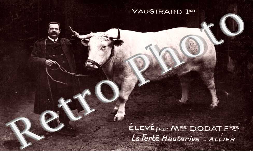 Vaugirard Ier, eleve par Mrs Dodat Freres