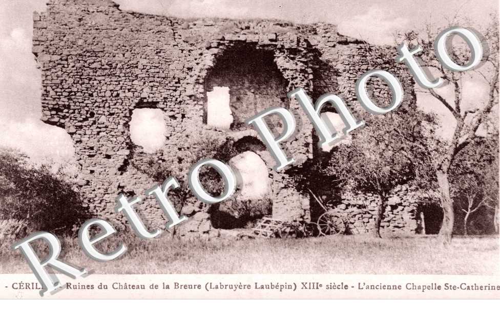 Ruines du Chateau de la Breure
