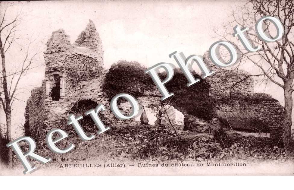 Ruines du Chateau de Montmorillon