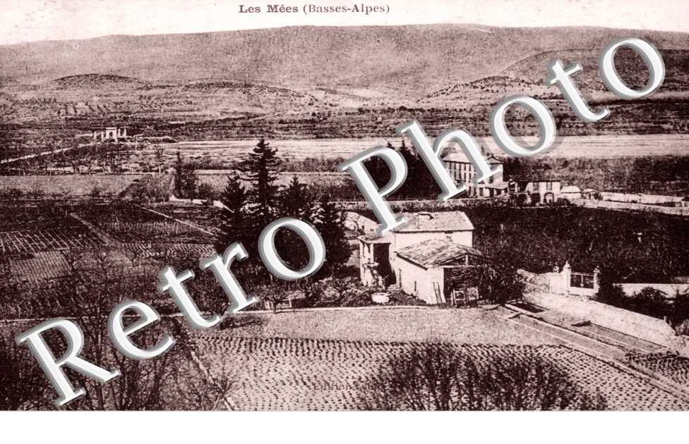 (vue generale)