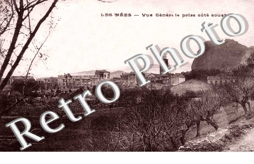Vue generale