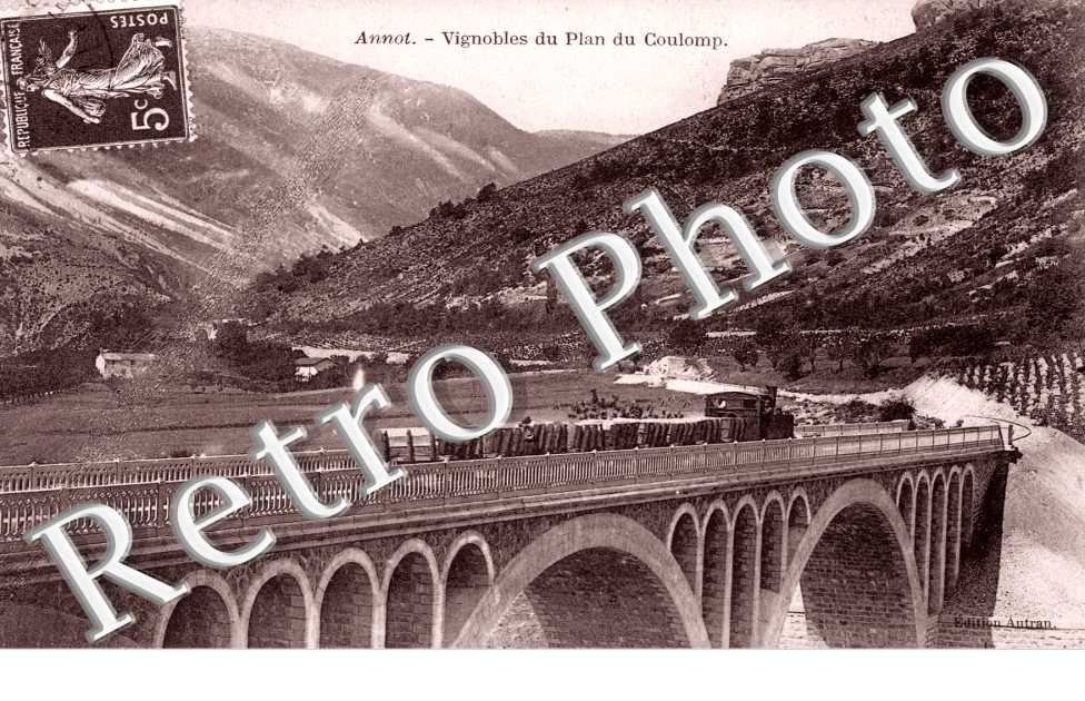 Vignobles au Plan du Coulomp