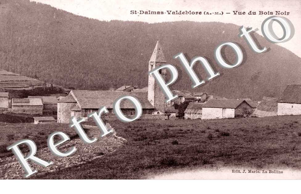 Vue du bois Noir