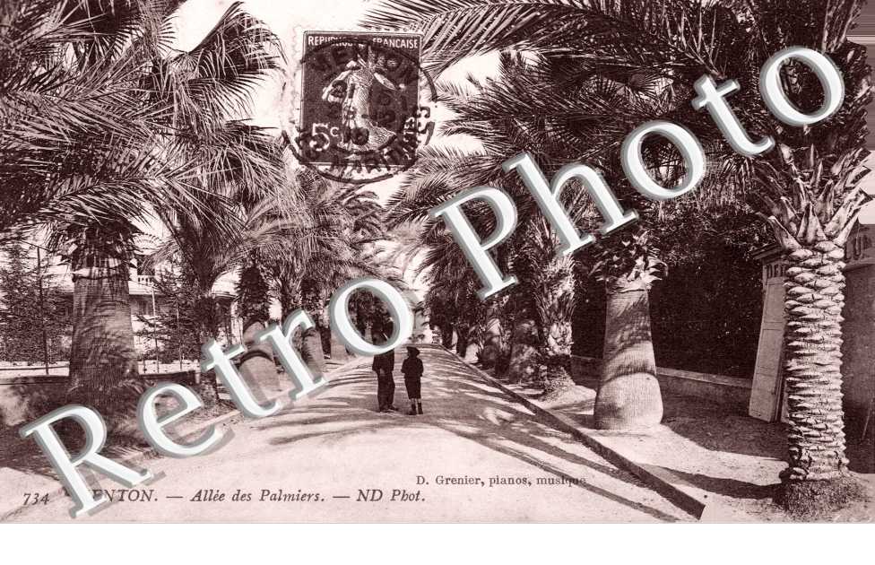 Allee des Palmiers