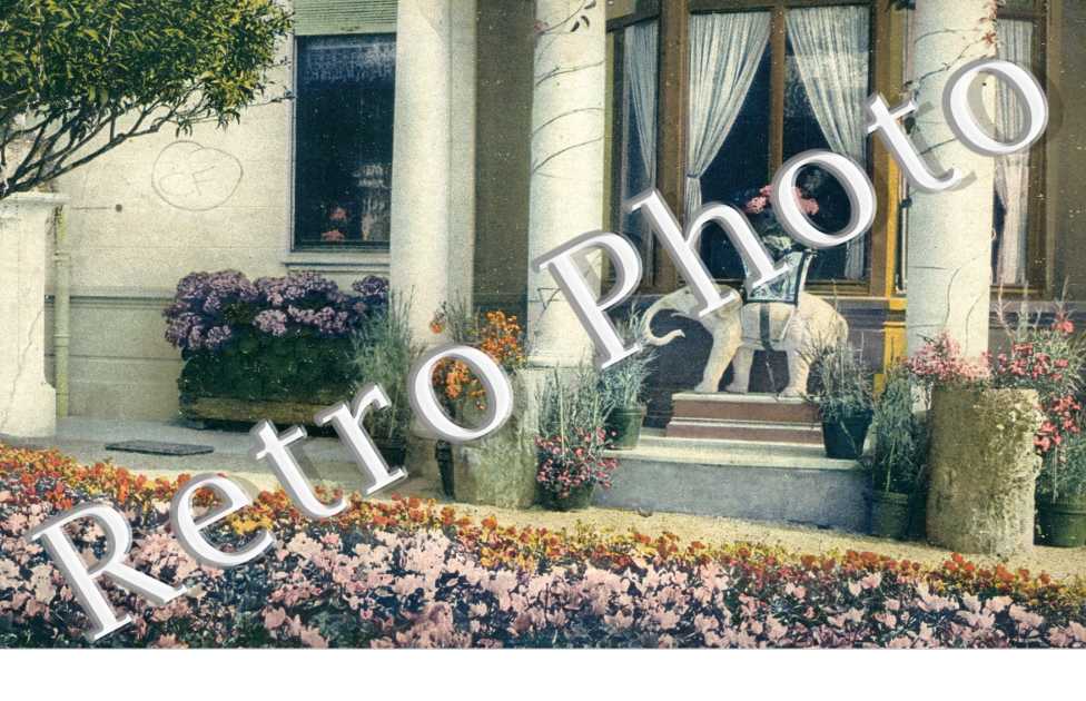 le jardin Fleuri