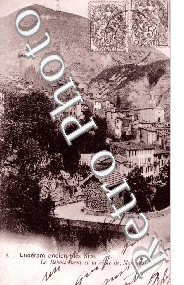Le reboisementet la cime